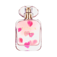 Escada Celebrate N.O.W EDP