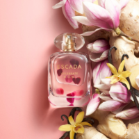 Escada Celebrate N.O.W EDP