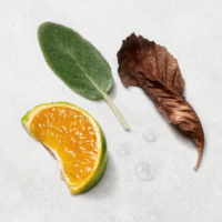 Giorgio Armani Acqua di Gio edp M