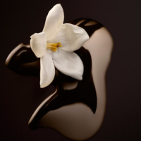 Hugo Boss The Scent Magnetic For Her edp W