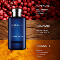 Baldessarini Signature edt