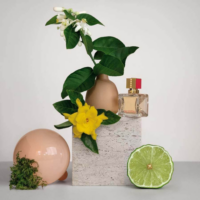 Valentino Voce Viva edp W