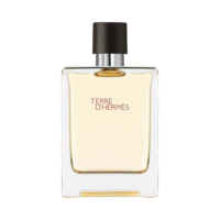 Hermes Terre d’Hermes edt M