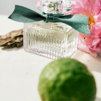 Chloe Rose Naturelle Intense edp