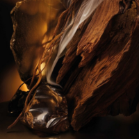 Hugo Boss Bottled Elixir edp Muski parfem