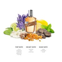 S.Oliver Original Men edt 30 ml