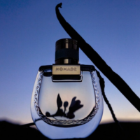 Chloe Nomade Nuit d’Egypte edp