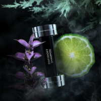 Davidoff Champion edt
