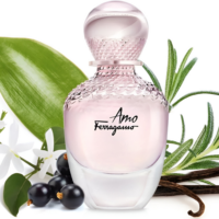 Salvatore Ferragamo Amo Ferragamo Per Lei