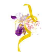 Salvatore Ferragamo Signorina Libera edp