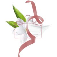 Salvatore Ferragamo Signorina edp