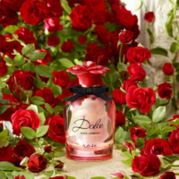 Dolce&Gabbana Dolce Rose 75 ml edt