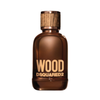 Dsquared2 Wood For Him edt