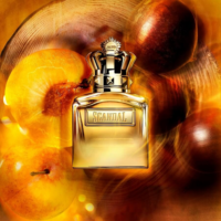 Jean Paul Gaultier Scandal Pour Homme Absolu Parfum M