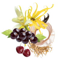 Trussardi Ruby Red edp