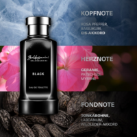 Baldessarini Black edt