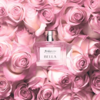 Baldessarini Bella edp