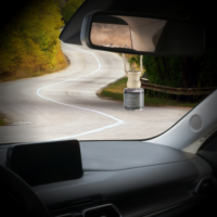 Hareem Istanbul Osvježivač za auto – Blackcurrant 4ml + 4ml