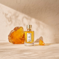Annick Goutal Ambre Sauvage EDP 100ml
